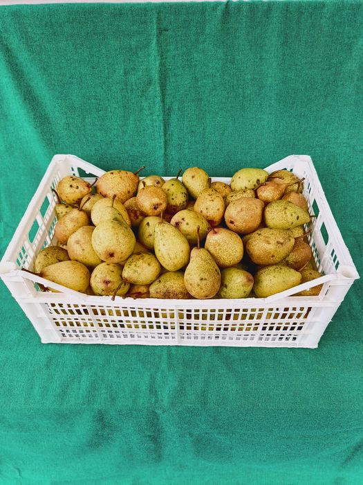 Gruszki ekologiczne 15kg
