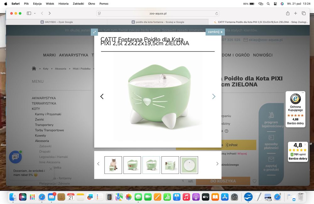 poidło dla kota fontanna