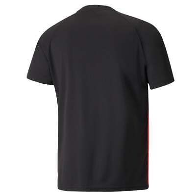 Футболка Puma Teamliga Graphic Crew Neck Short Sleeve