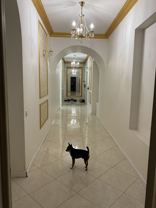 Продам будинок 450 м2. З бомбосховищем