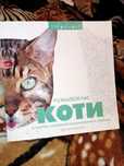 Книга раскраска коты по номерам