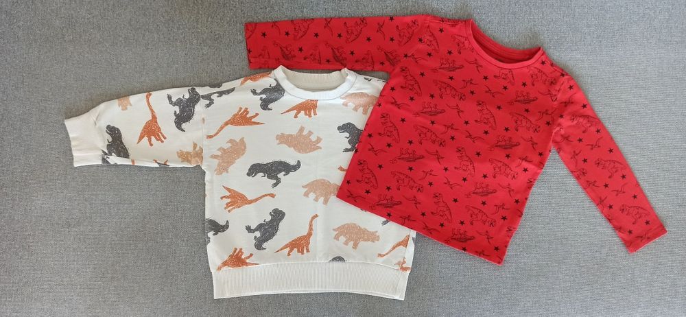 Komplet Bluza + Bluzka Sinsay Motyw Dinozaury Dla Chłopca R. 98/104cm