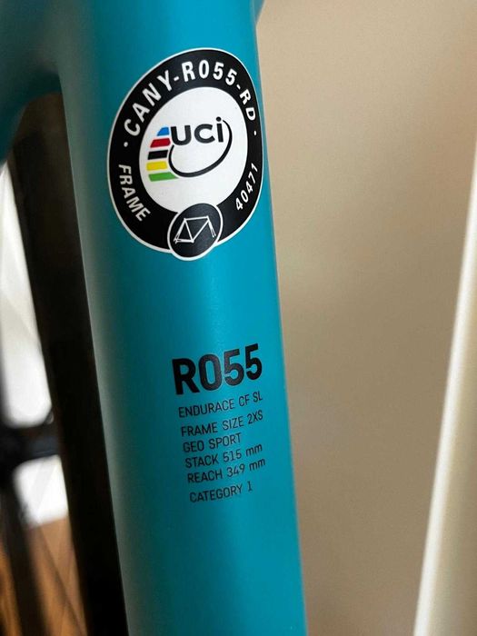 Canyon - Endurance WMN CF Disc 8.0 Di2 2019