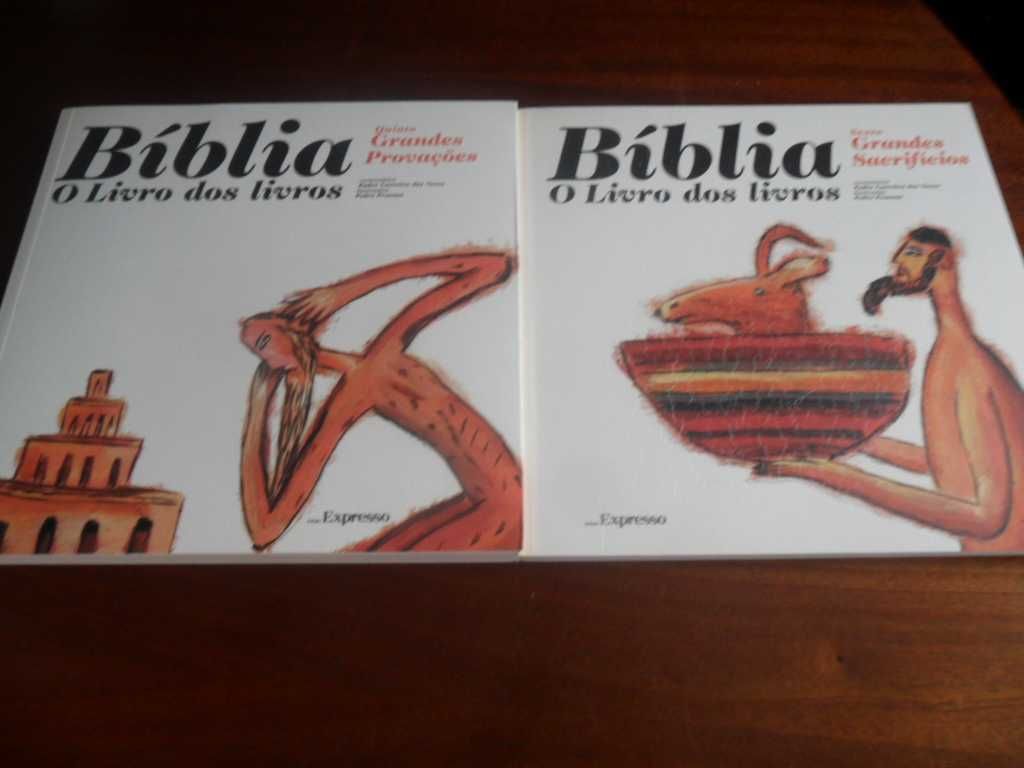 Bíblia, o Livro dos Livros - Edição Especial em 12 Volumes