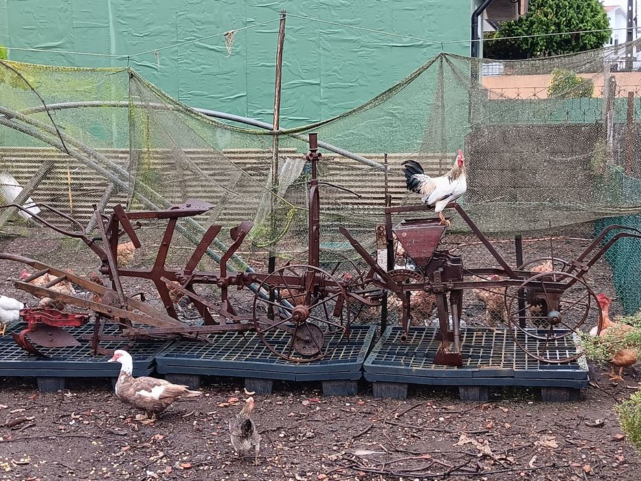 charrua  e semeador para enfeitar jardins