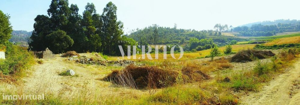 Terreno com 3.650 m2 para construção em Amarante