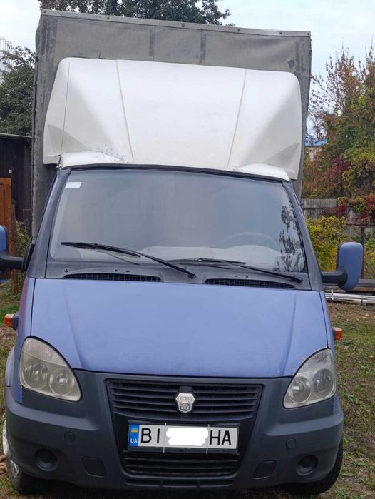 Газель тентована