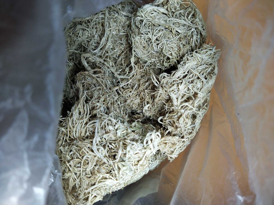Мох Сфагнум Живой + бонус
