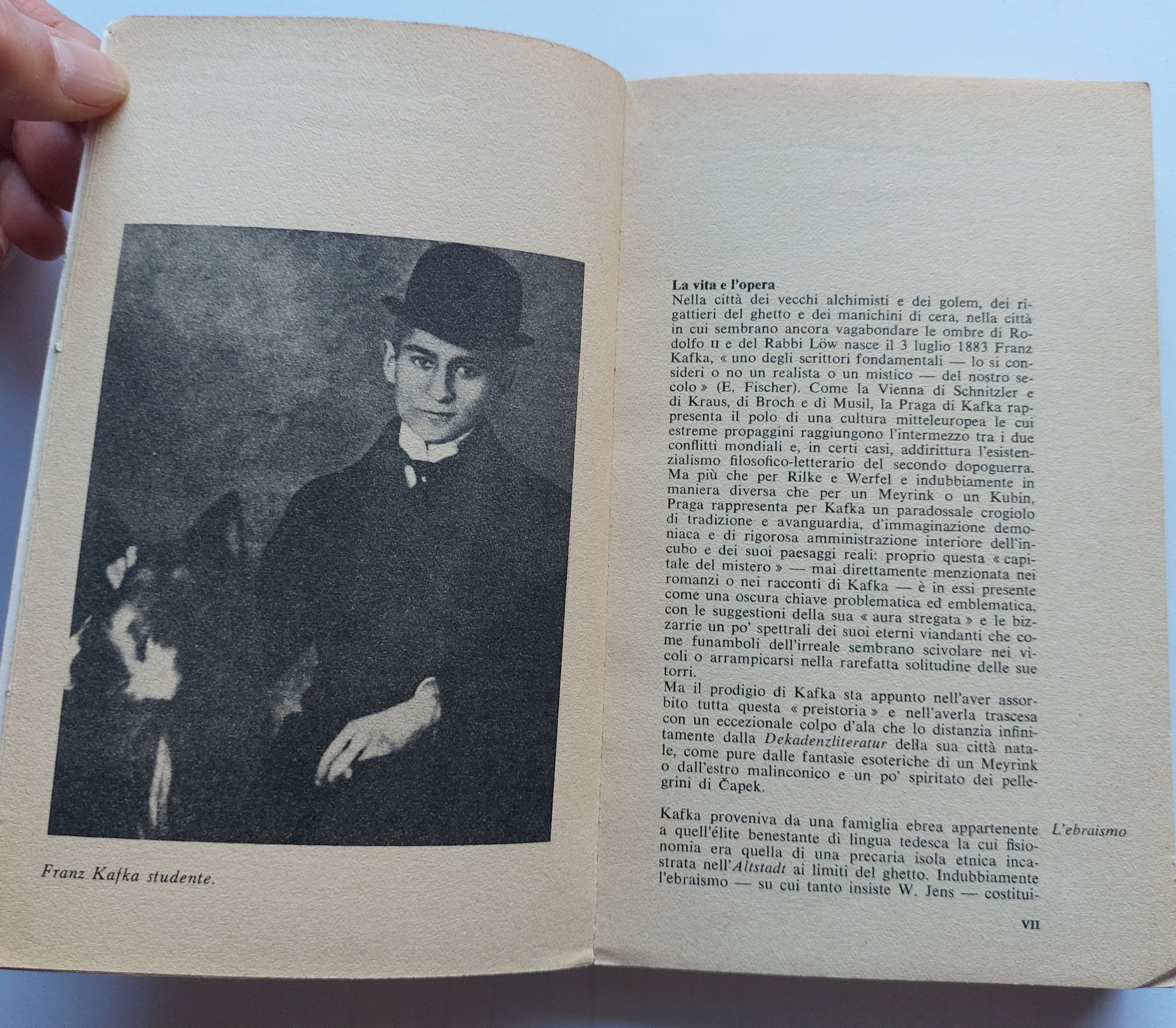Książka po włosku. Franz Kafka La metamorfosi
