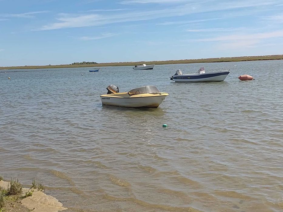 Barco de recreio Obe 9.9 cavalos