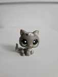 Kotek LPS figurka littlest pet shop