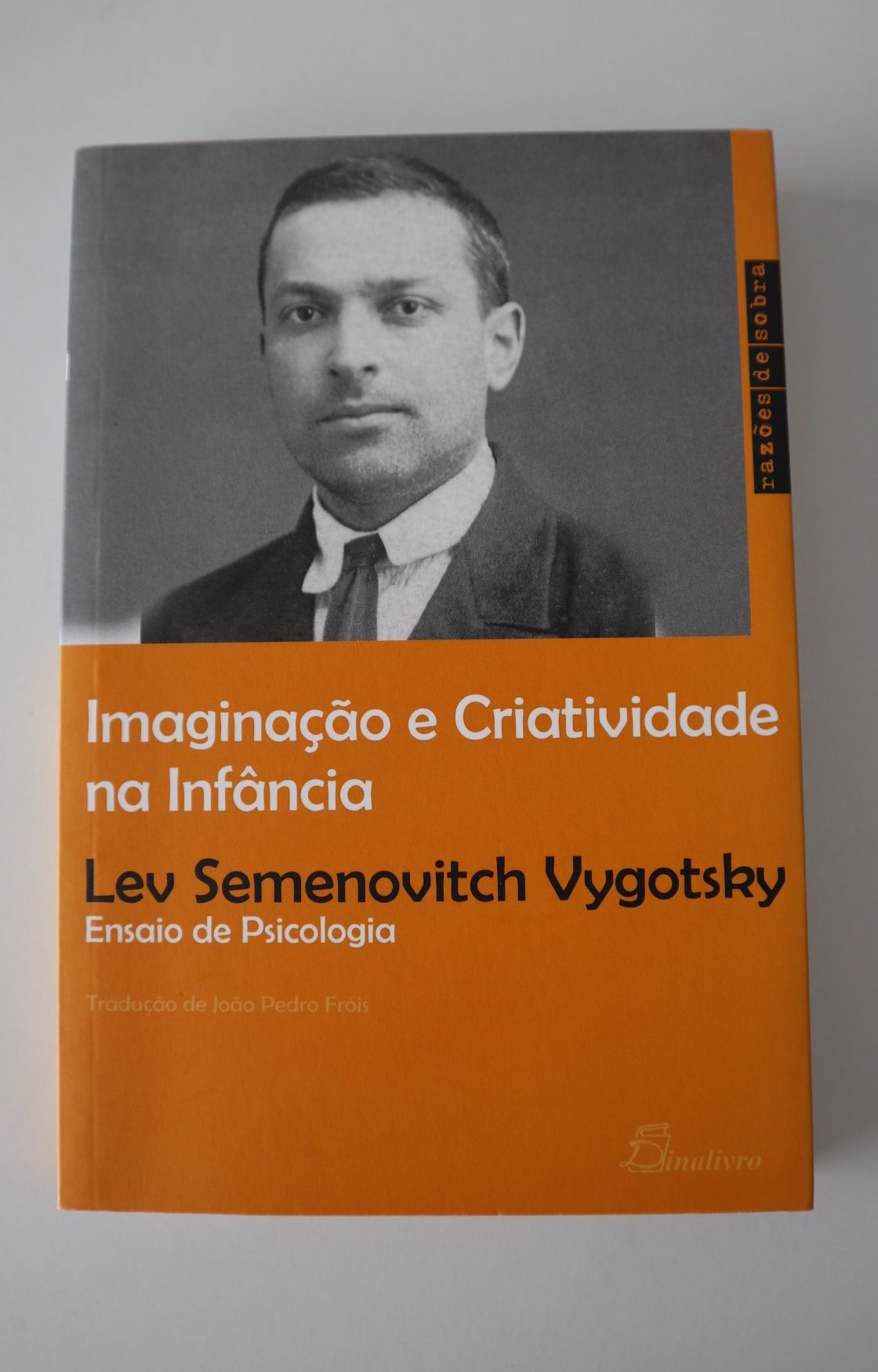 Imaginação e Criatividade na Infância, Vygotsky