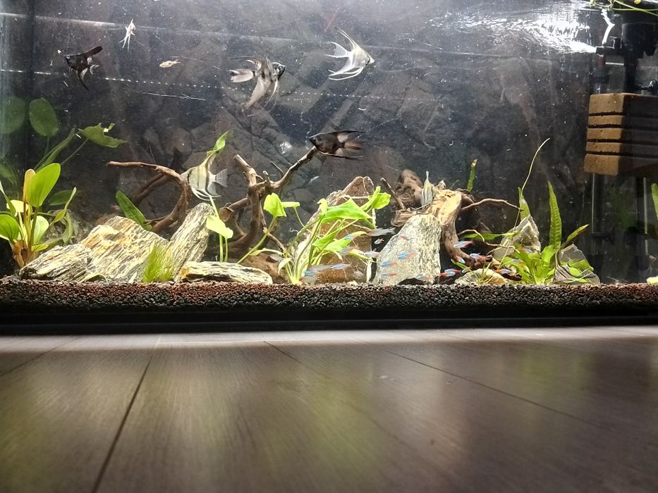 Akwarium 200l + zestaw.