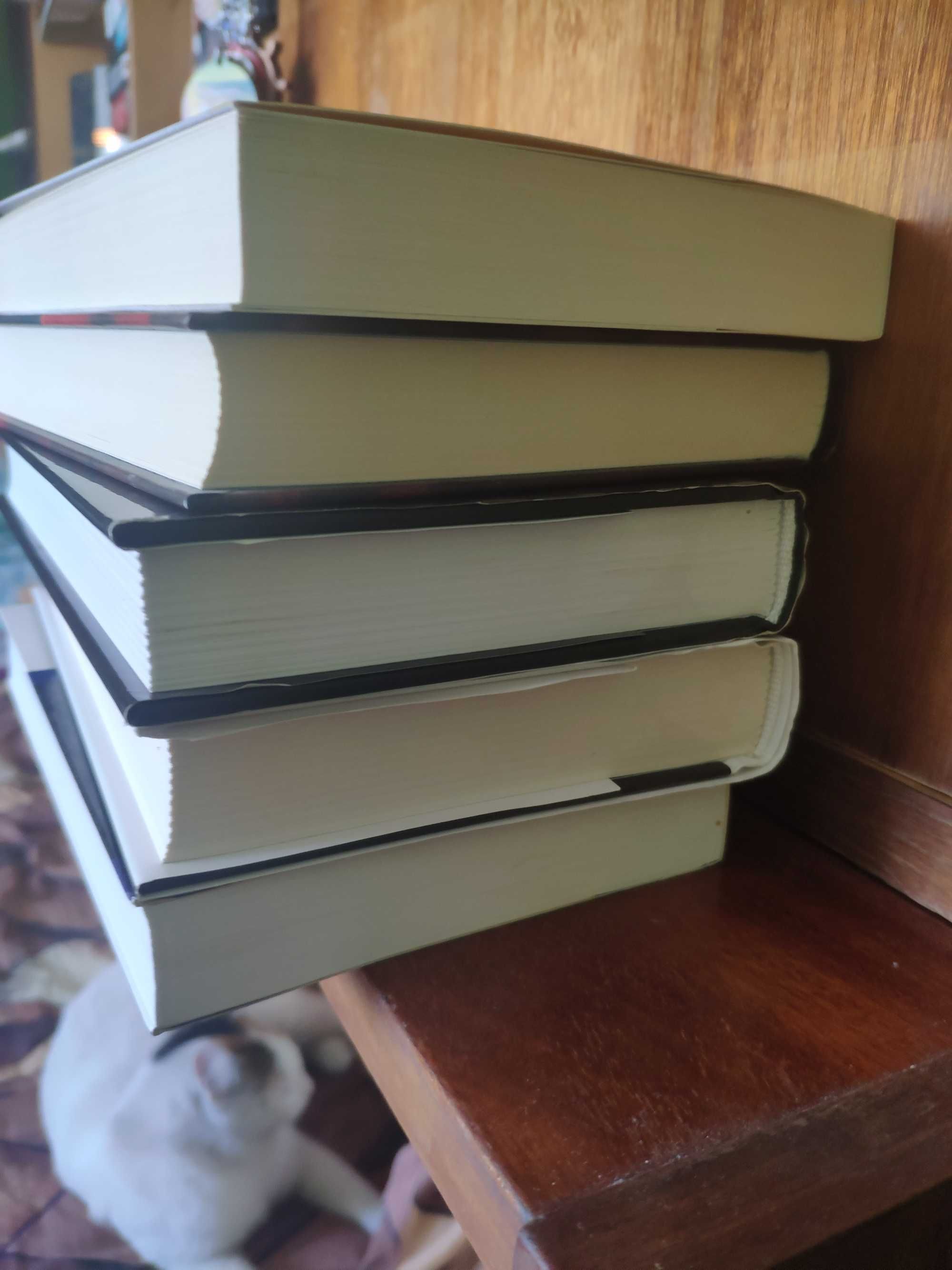Harlan Coben Jo Nesbo zestaw książek