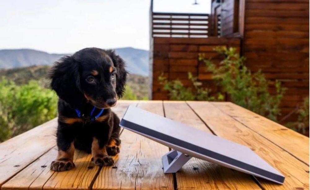 Starlink mini в наявності