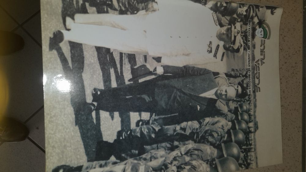 Revistas Boina Verde