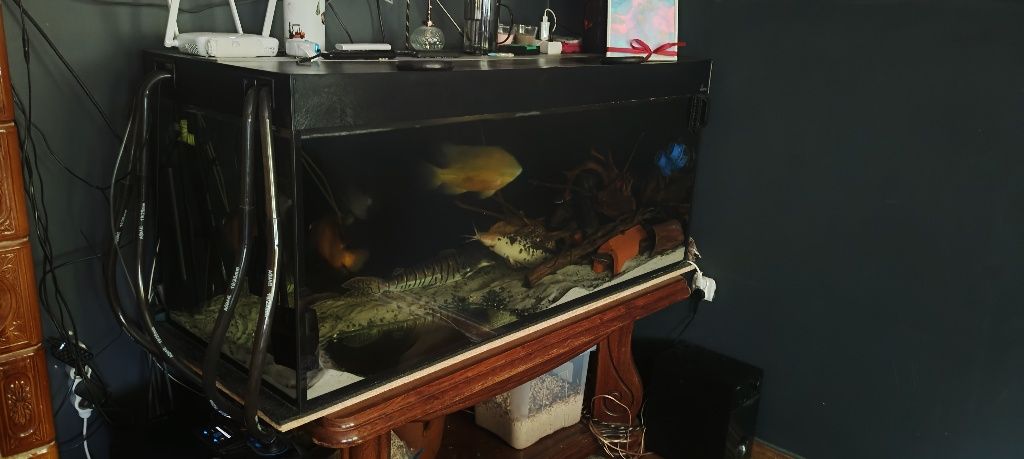 Akwarium 540L plus filtr