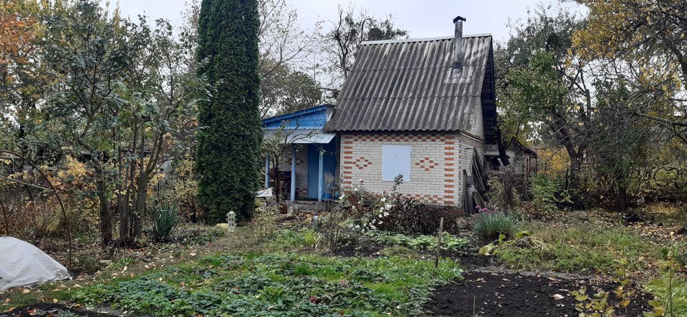 Дача, Хіммістечко