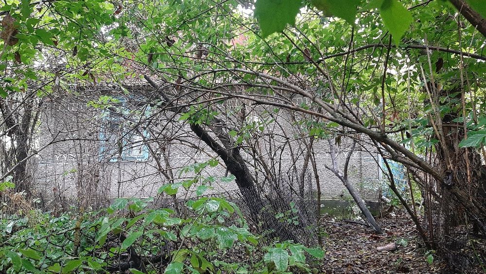 Продається будинок в с. Бугрин