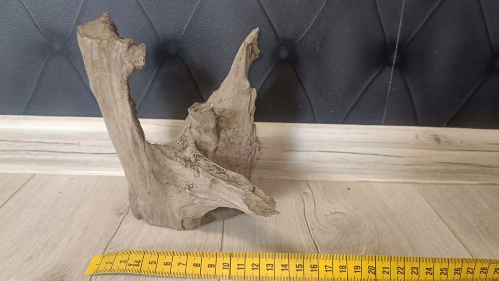 Korzeń Akwarystyczny