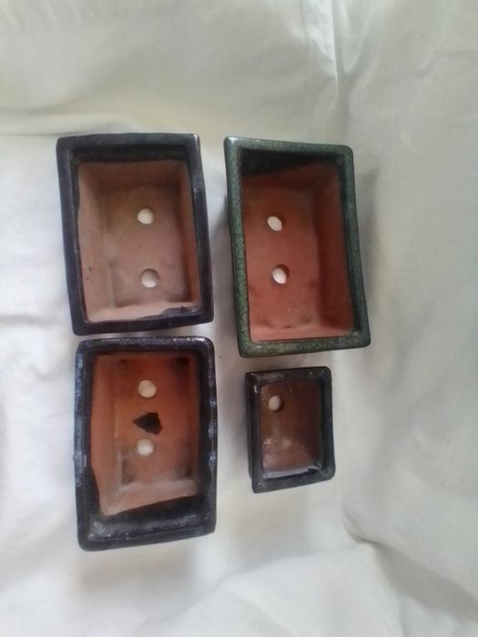 Vasos Bonzai diversos