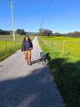 Pet sitting e walking na margem sul