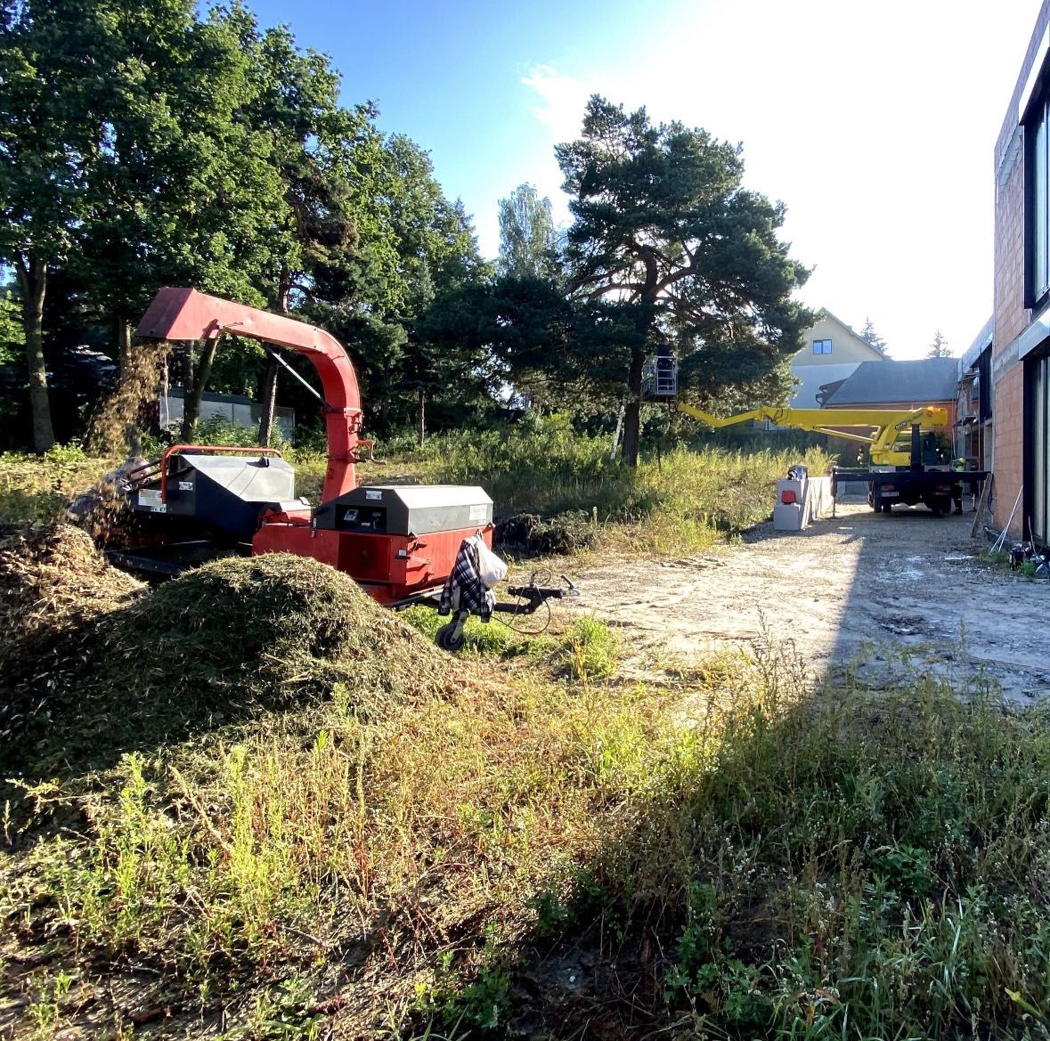 Porządkowanie działki, rębak do gałęzi, czyszczenie terenu, wywóz ŁÓDŹ
