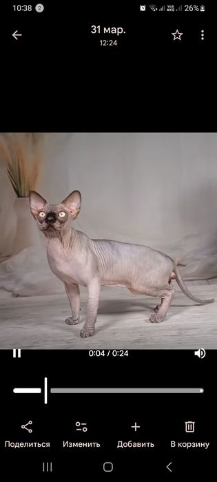 Хлопчик-красавчик