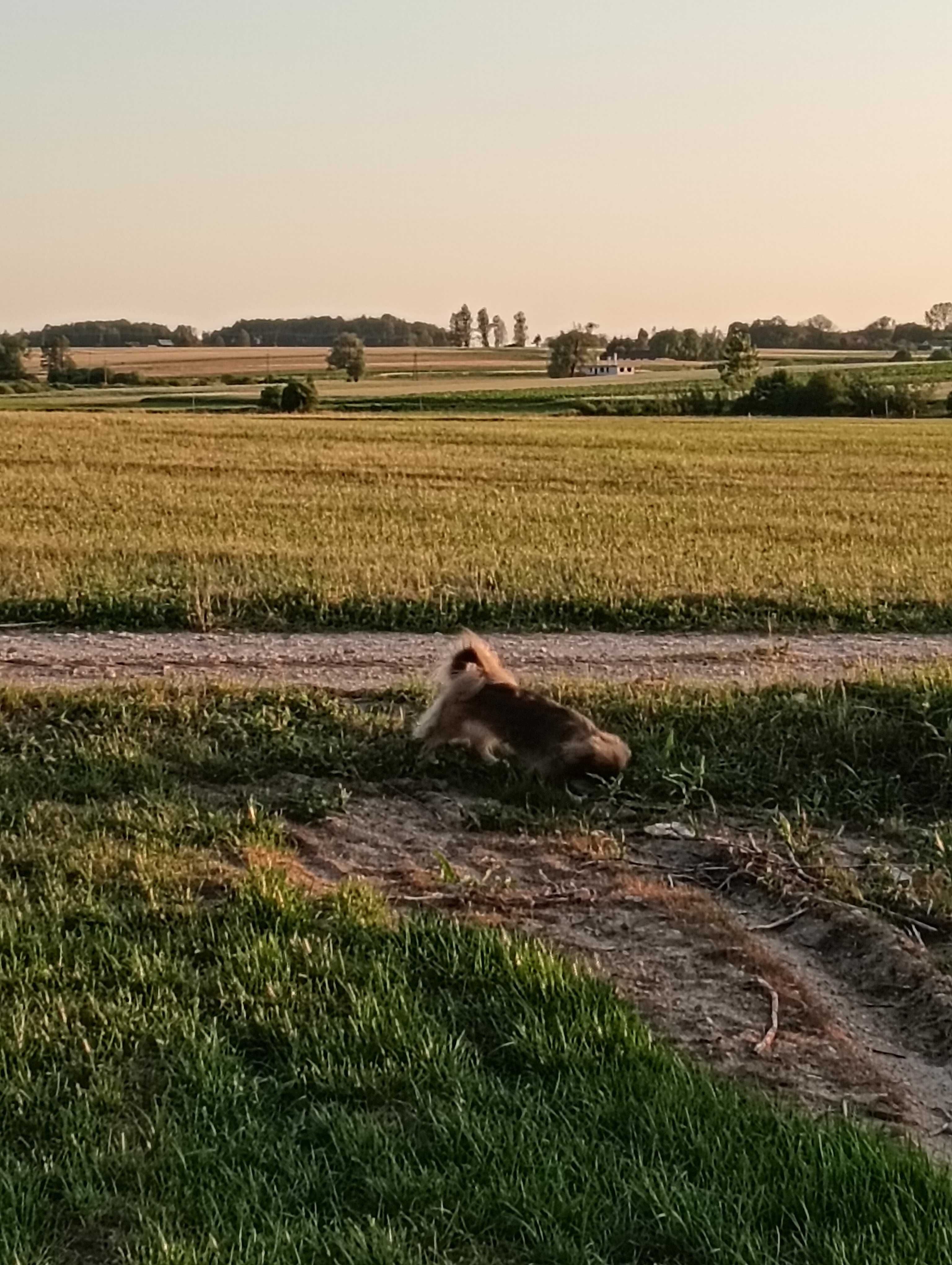 Gospodarstwo Agroturystyczne u Monisi i Kulfona