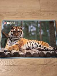 Puzzle Jumbo 1000 Siberian Tiger.