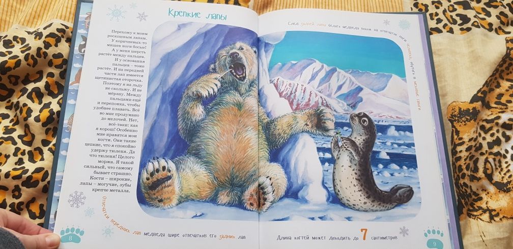 Книга "Я белый медведь" большого формата твердая обложка на русском