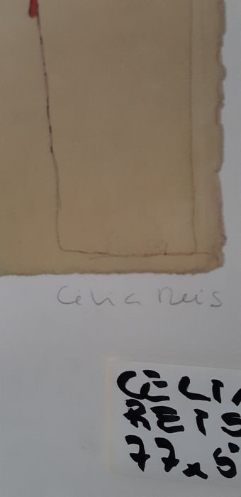 Serigrafia Célia Reis