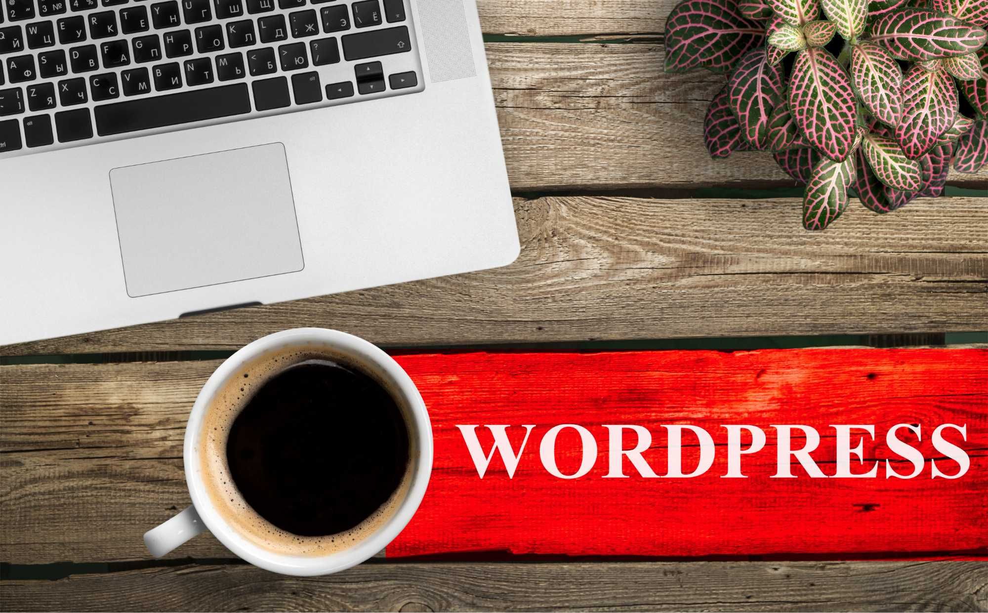 Wordpress Freelancer - administrowanie, aktualizacje, przenoszenie www