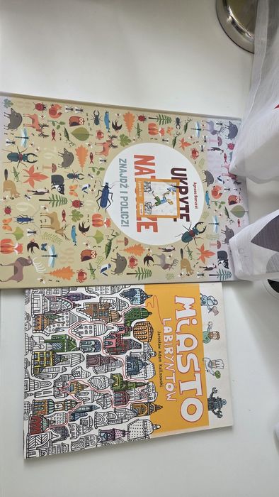 Zestaw 2 książek z labiryntami i zagadkami