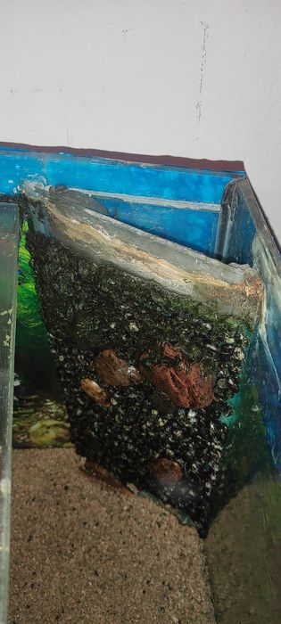 Oddam akwarium 112l czytaj opis rezerwacja