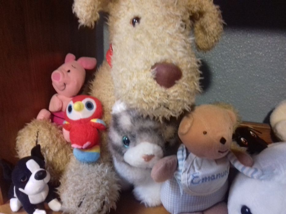 Conjunto de peluche 20€