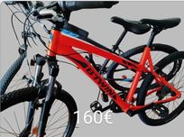 Vendo bicicletas várias marcas
