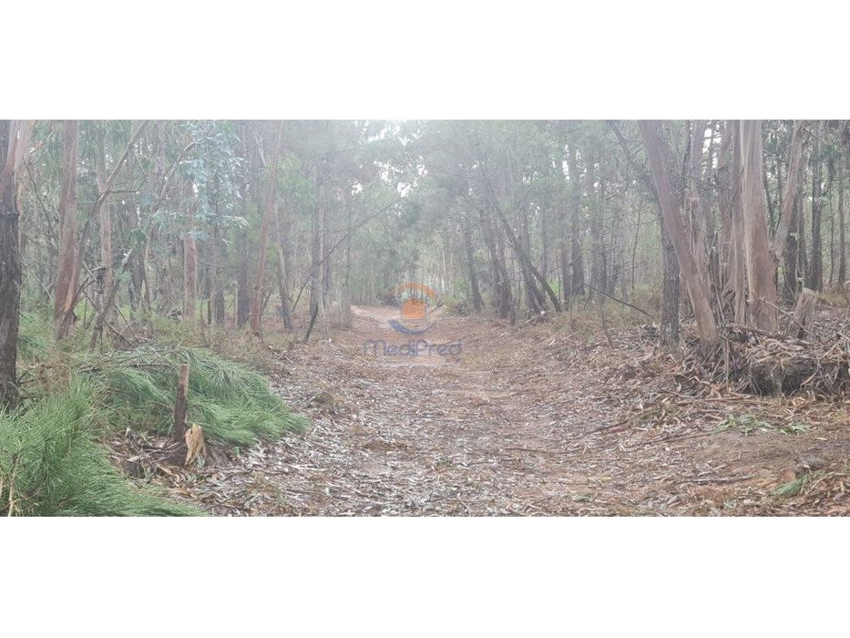 Terreno agrícola 1.200 m2 | Silveira, Torres Vedras