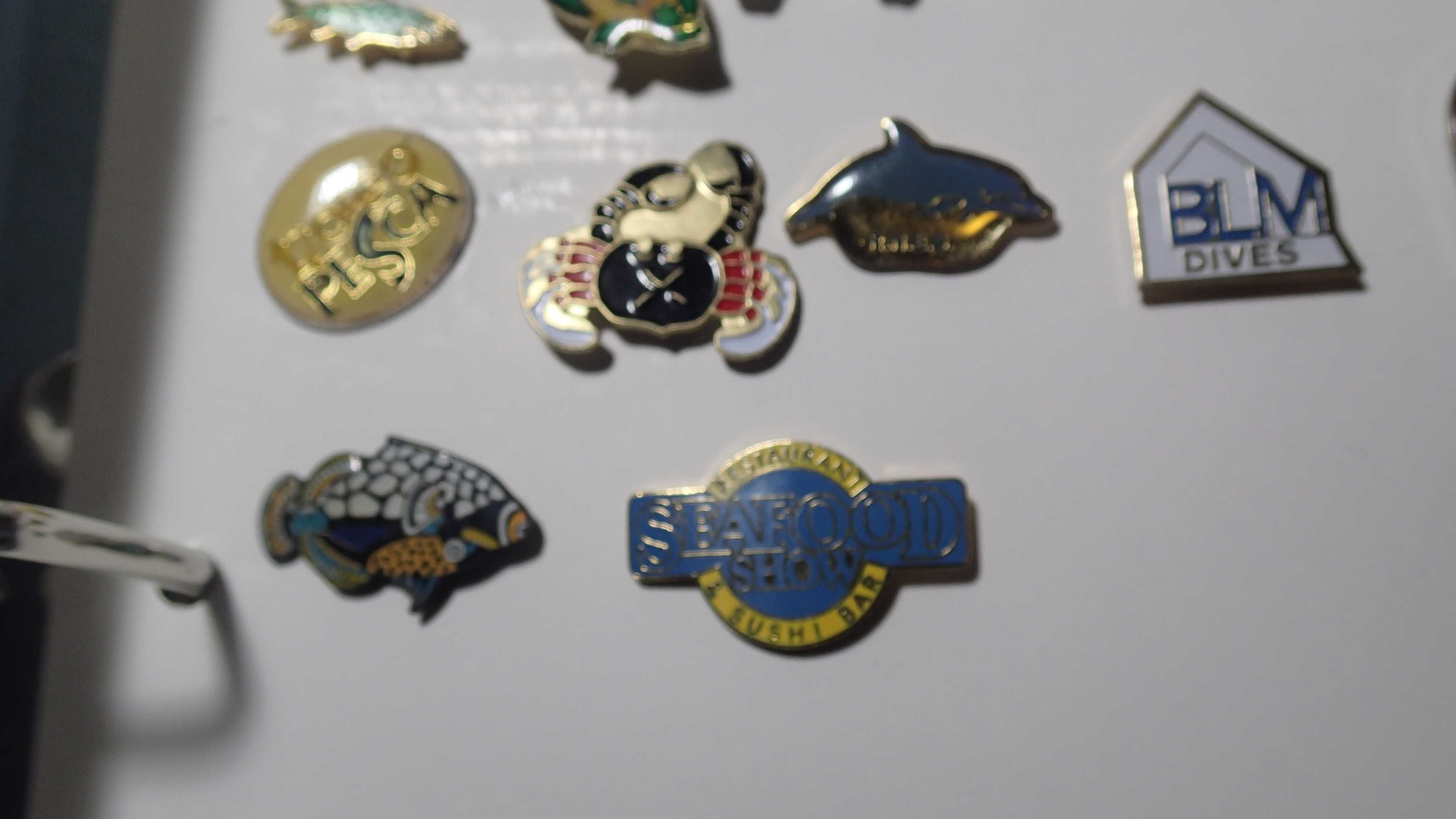Pins antigos de Mergulho, Portugal, Faculdades,Museus e Escolas