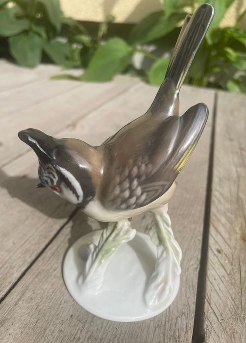 Sikorka Czubatka Rosenthal