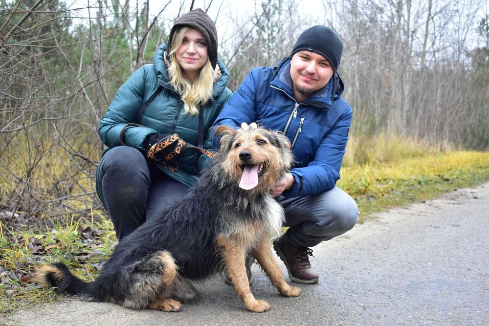 RAZER - żywiołowy, terierkowy, idealny dla aktywnych