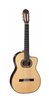 Gitara Takamine Hirade TH90