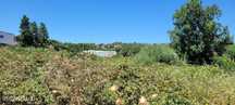 Terreno para venda em Vila Nova da Rainha