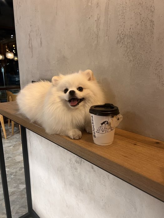 Хлопчик шукає дівчинку