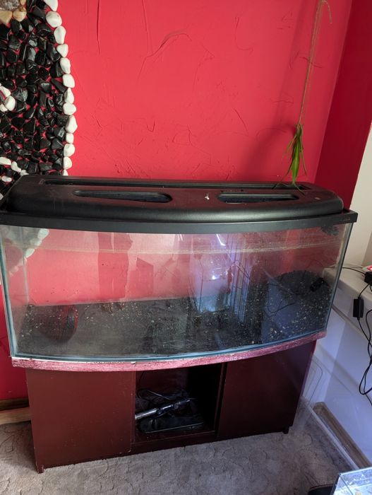 Akwarium panorama 240 litrów z szafką. Kompletne
