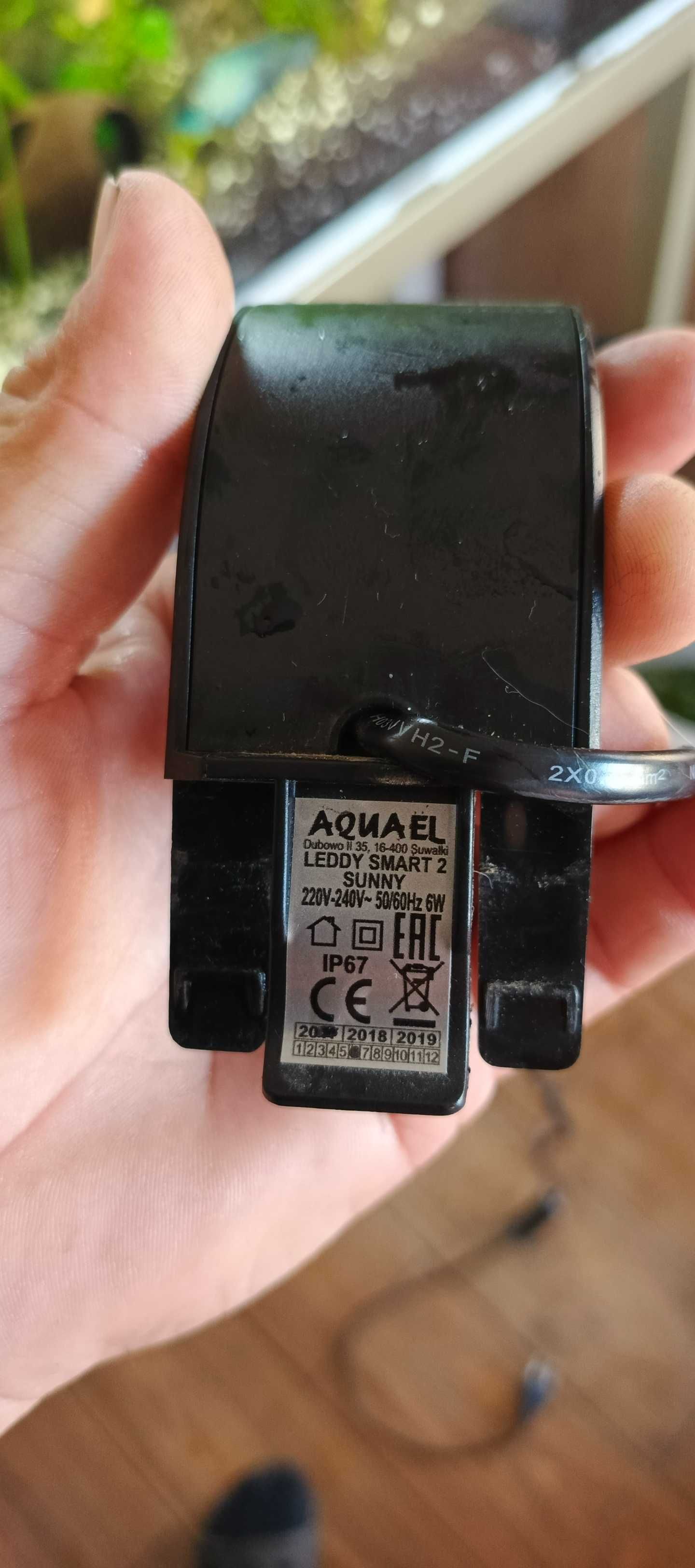 akwarium  prostokąt