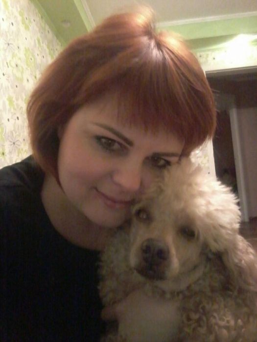 Стрижка котов и собак.