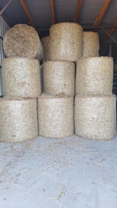 Słoma słoma spod dachu pszenna słoma Żytnia słoma