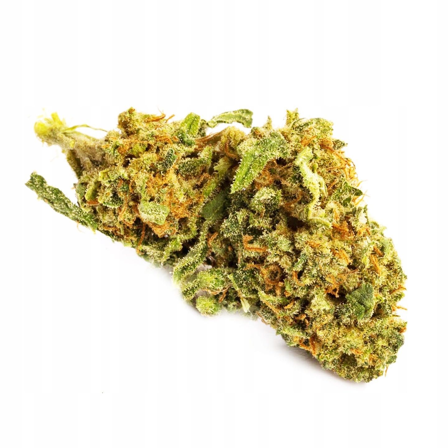 50G Susz konopny SKYWALKER OG 0,20% Hurt/Detal FV Producent