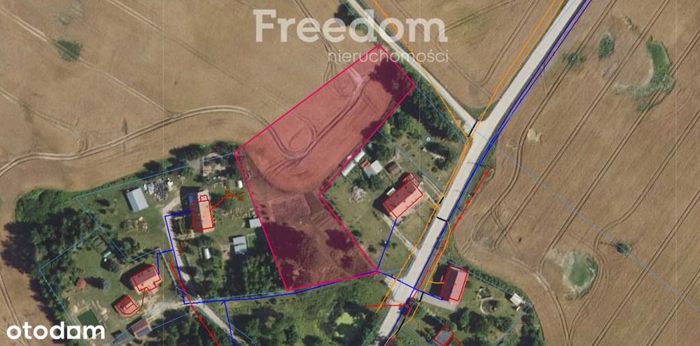 Działka 5 710 m² – przestrzeń i natura